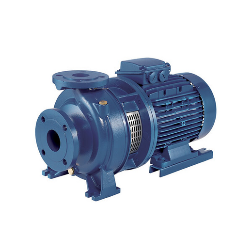 3D(4) SERIES - EN 733 Standardised Pumps